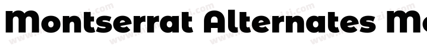 Montserrat Alternates Mediumy字体转换